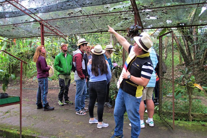 Coffee Plantation Tour From Bogota - Who Should Book This Bogota Coffee Plantation Tour