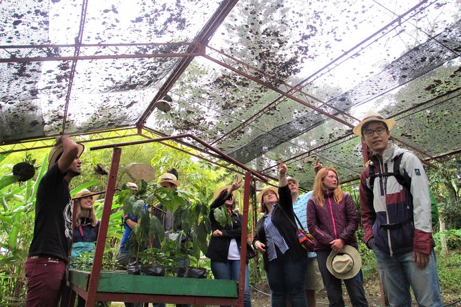 Coffee Plantation Tour From Bogota - The Road to the Coffee Towns Around Bogotá