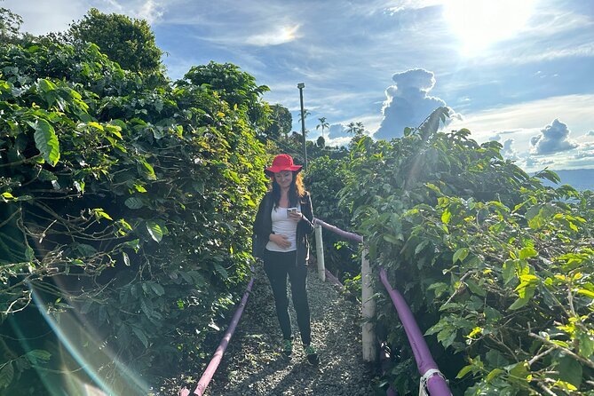 Coffee Region Andes Mountains: Coffee Tour, Pijao & Buenavista - Stop 2 in Pijao: Cittaslow town walk and colorful architecture