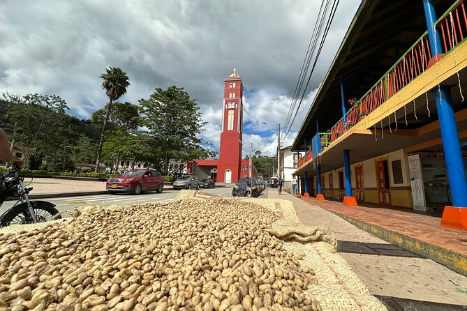 Coffee Region Andes Mountains: Coffee Tour, Pijao & Buenavista - Private transportation from Pereira: Comfort that keeps you moving