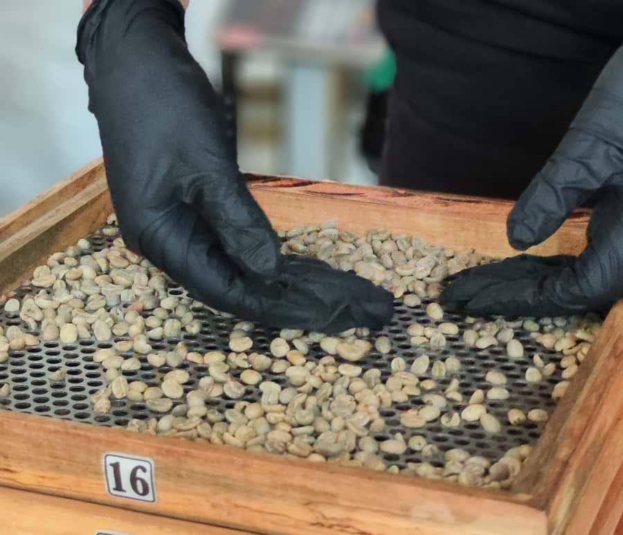 Coffee Tasting Experience in Cali - The Small Coffee Factory Visit That Explains the Journey