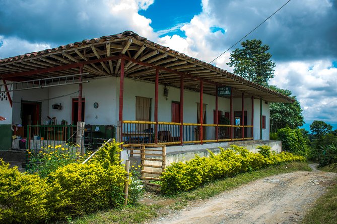 Coffee Tour. - Price and Value: Is $55 for 3 Hours Fair?
