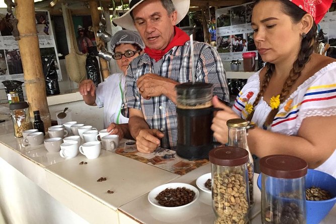 Coffee Tour - Step Two: Collecting and Learning How Coffee Grows