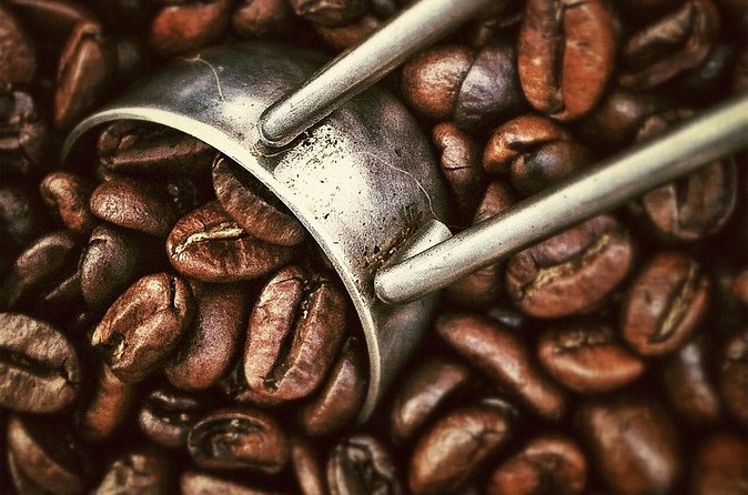 Coffee Tour - Step Three: Coffee Picking and Tasting (What to Look For)