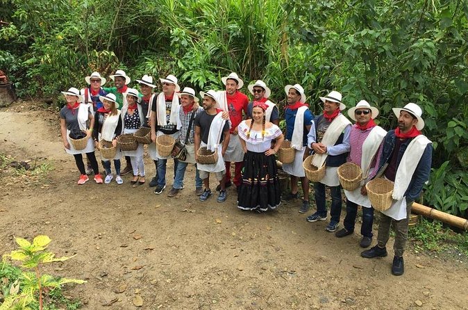 Coffee Tour - English Guidance and Small-Group Q&A That Actually Works