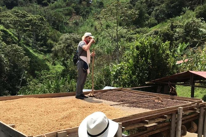 Coffee Tour - All inclusive - Medellín - Key Highlights You Will Feel on Day One