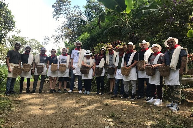 Coffee Tour - All inclusive - Medellín - Snack and Lunch: Included Food That Keeps the Day on Track