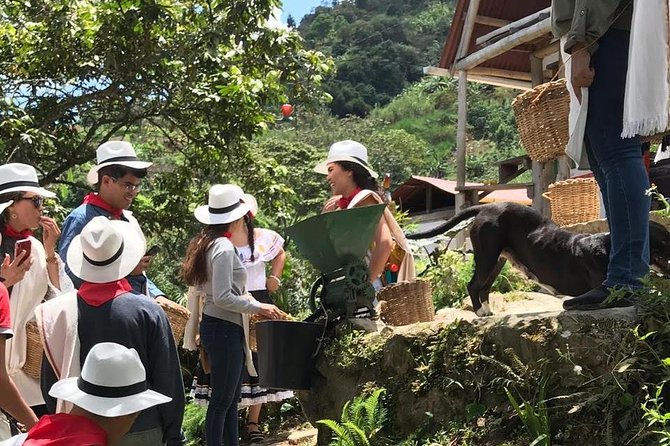 Coffee Tour - All inclusive - Medellín - Transportation and Insurance: Comfort Plus Peace of Mind