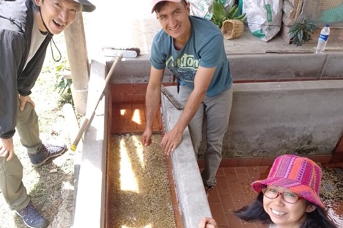 Coffee Tour and Jeep Tour at Finca Mariposa in Jardin - A 3-hour Jardin coffee tour with a real working farm feel