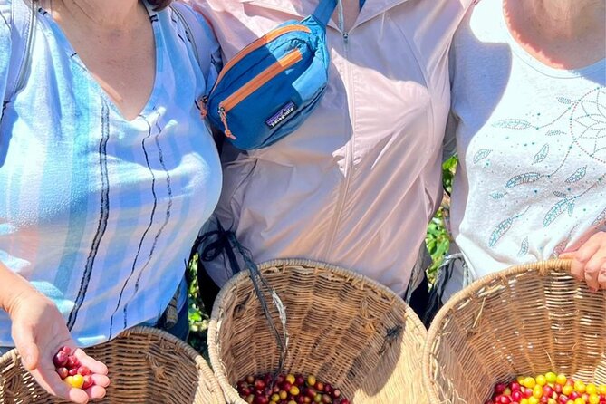 Coffee Tour and Jeep Tour at Finca Mariposa in Jardin - The Willys Jeep pickup at Cafe Cuchillas, and why it matters
