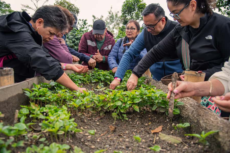 Coffee Tour at Finca El Ocaso Salento: Traditional Spanish Farm - Price and Value: What $19 Gets You (and Why It Adds Up)