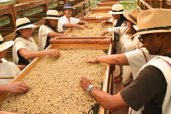 Coffee Tour at the Finca del Café - A 3-hour coffee experience that feels real, not staged