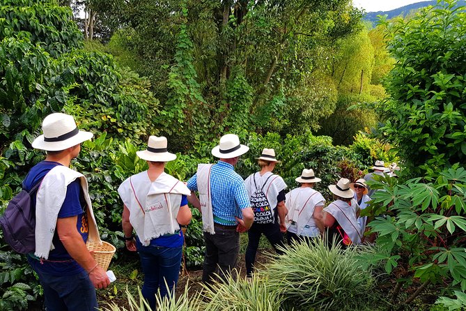 Coffee Tour at the Finca del Café - Price and value: what you get for $40
