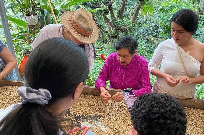 Coffee Tour from Coffee Growers to Your Cup - La Primavera Organic Farm in Fusagasugá: Plant to Cup, Step by Step