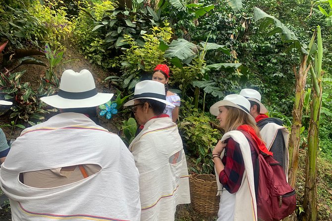 Coffee tour+Guatape - Coffee tour + Guatapé in one day: why this combo makes sense