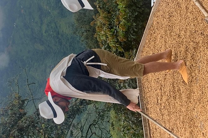 Coffee tour+Guatape - 9:00 am schedule and door-to-door logistics in Medellín