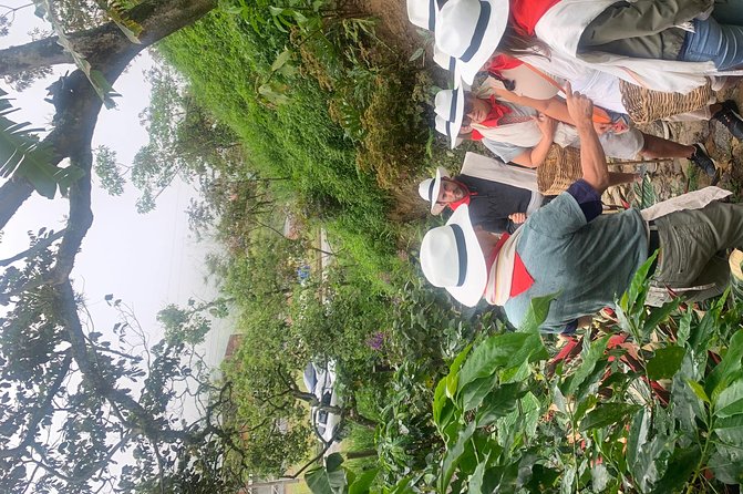 Coffee tour+Guatape - Guatapé and El Peñól de Guatapé: the photo moment with real guidance