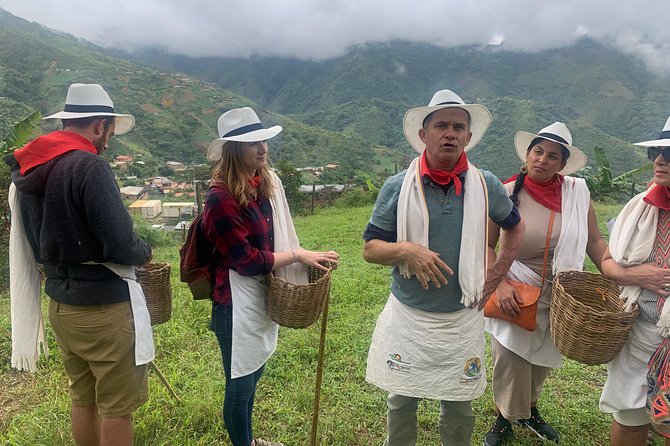 Coffee tour+Guatape - What the best guides do: professionalism, timing, and extra tips