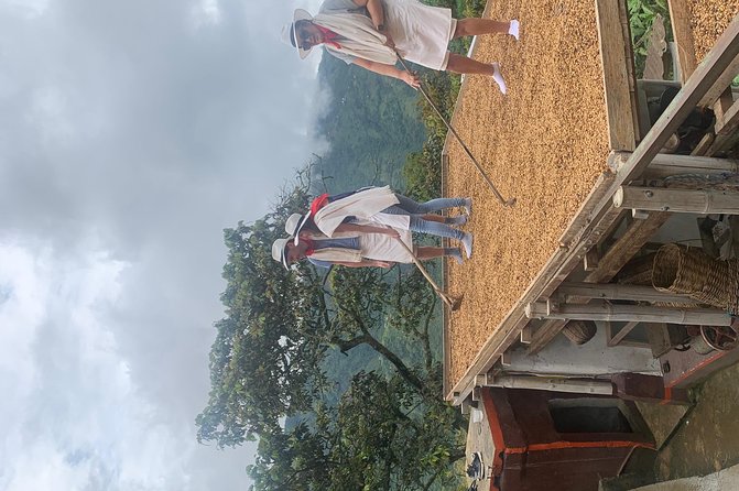 Coffee tour+Guatape - Who should book this private Coffee tour + Guatapé day