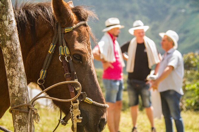Coffee Tour In Horse Riding and Lunch In Medellin - Why this coffee and horse day trip from Medellín works