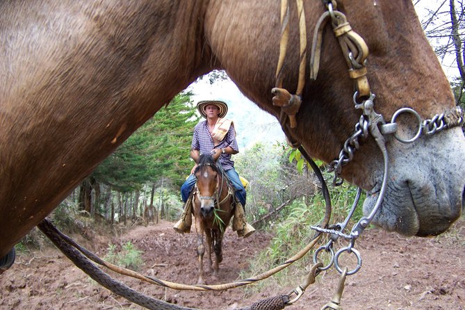 Coffee Tour In Horse Riding and Lunch In Medellin - The morning start: pickup timing and how the group moves