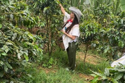 Coffee tour in Medellín with tastings and transportation