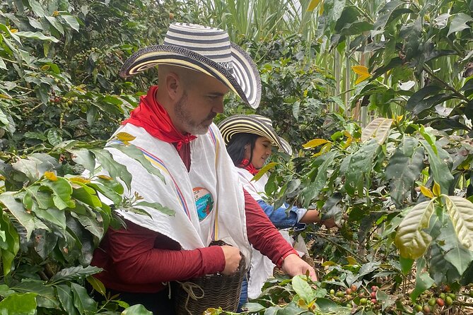 Coffee tour in Medellín with tastings and transportation - Optional Horseback Riding: Cute, But Know the Extra Cost
