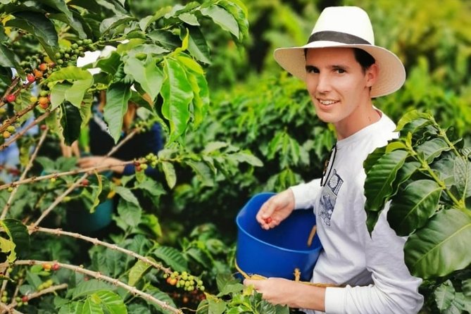 Coffee Tour in the Beautiful Jardin Town: Adventure in the Andes - Lunch and snacks on the farm: included food, included energy