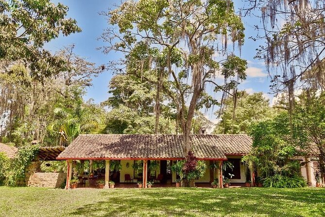 Coffee tour & rum tasting - Key highlights you will actually care about