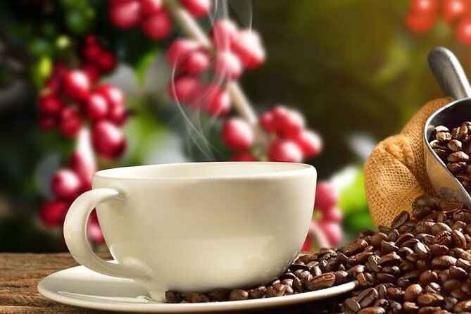 Coffee tour & rum tasting - Optional Lunch Stop: A Simple Way to Control Your Pace