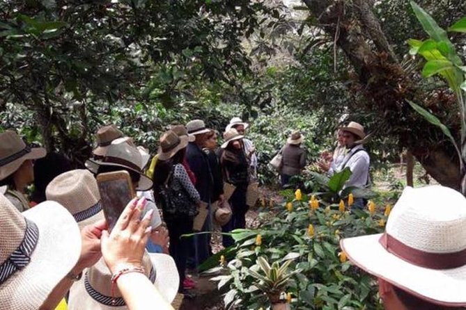 Coffee tour & rum tasting - Price and What You’re Really Paying For