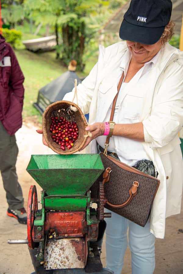 Coffee Tour Salento-Ocaso Farm- English Tour - Entering the coffee story: what you learn about coffee trees and planting