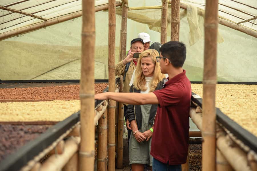 Coffee Tour Salento-Ocaso Farm- English Tour - Roasting, extraction basics, and the cloth strainer coffee moment