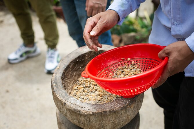 Coffee Tour with arrival on horseback and sugar cane processing - The best part of the hands-on coffee lesson: picking beans that changed the way you brew