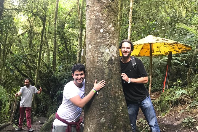 Colombia’s Tallest Waterfalls: La Chorrera Hike - Time to pause, photos, and lunch that actually hits the spot
