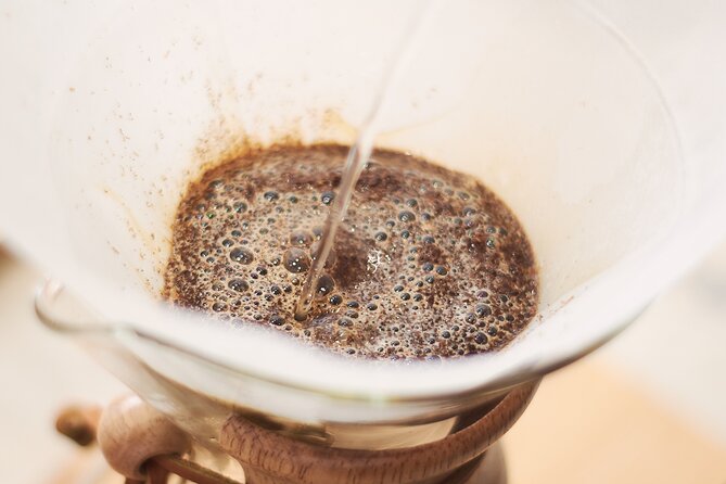 Colombian Coffee Sensory Immersion: From the Seed to the Cup. - The Cupping Exercises That Train Your Tongue