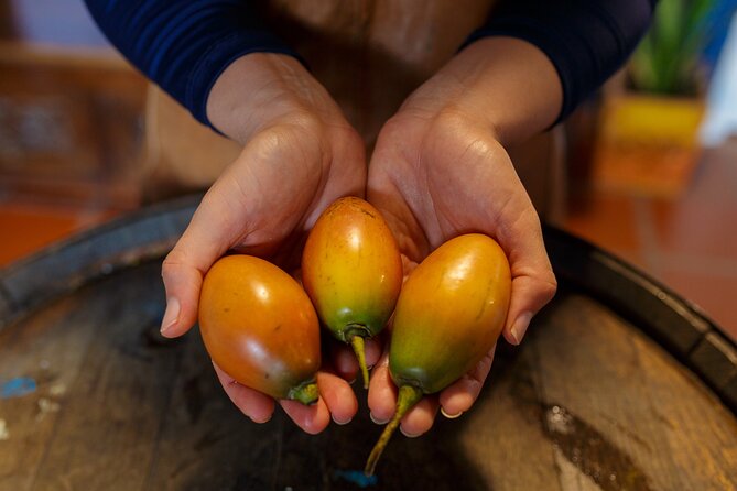 Colombian Fruits and Paila Ice Cream Tasting - Timing and pacing: fitting a 1 hour 15 minute food moment into your day