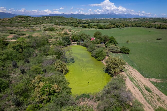 Community and Biodiversity Tour of the Tatacoa Desert from Neiva - Start at Backpackers and Travelers Neiva, then head for Villavieja