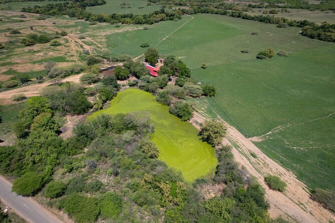 Community and Biodiversity Tour of the Tatacoa Desert from Neiva - Price and logistics: what $64 buys you for a 14-hour day
