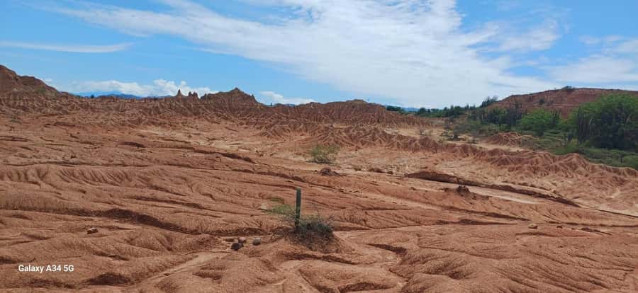 Community and Biodiversity Tour of the Tatacoa Neiva Desert - Red Desert walking and paleontology: fossils meet real shoes