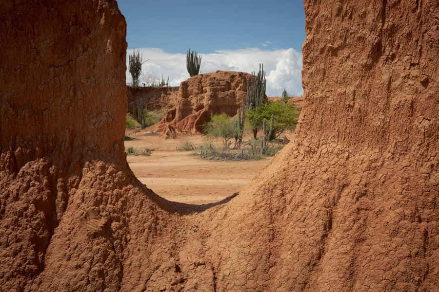 Community tour Biodiversity Latatacoa Desert Villavieja - Two ecosystems, one full day: Tatacoa Desert plus river wildlife