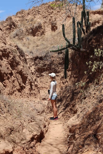 Community tour Biodiversity Latatacoa Desert Villavieja - Mineral pools break and Las Ventanas viewpoint time