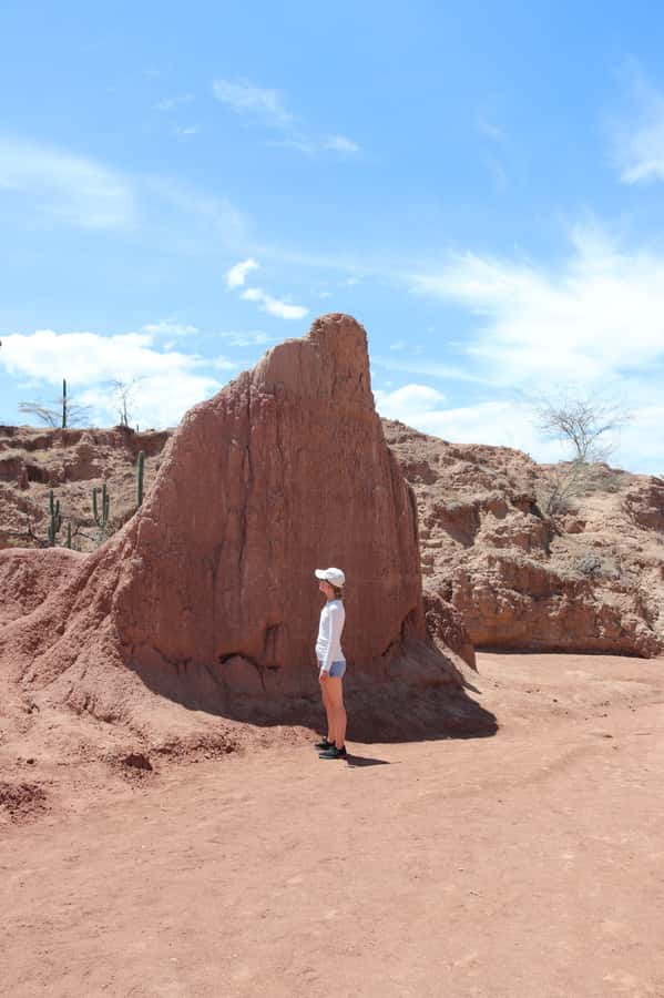 Community tour Biodiversity Latatacoa Desert Villavieja - Astronomical Observatory Astrosur at sunset: stargazing you can actually follow