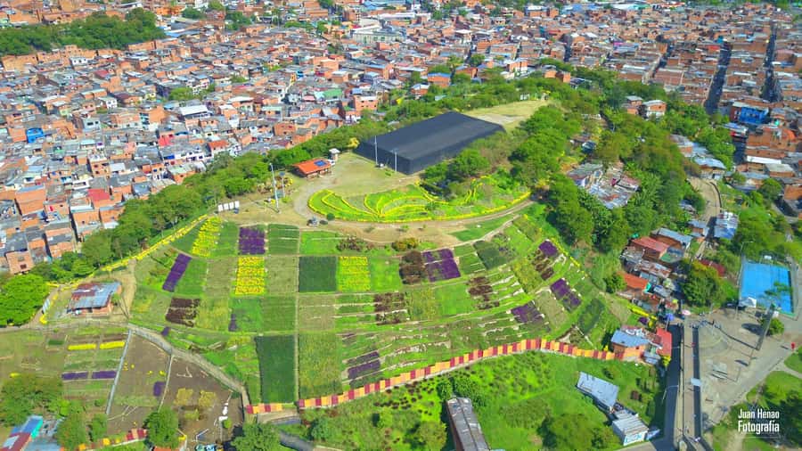 Comuna 4 - Moravia Tour - Key Points That Make This Tour Worth Your Time