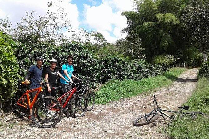 Cultural Coffee bike tour - The coffee farm walk: plantations, the coffee process, and what Iván points out