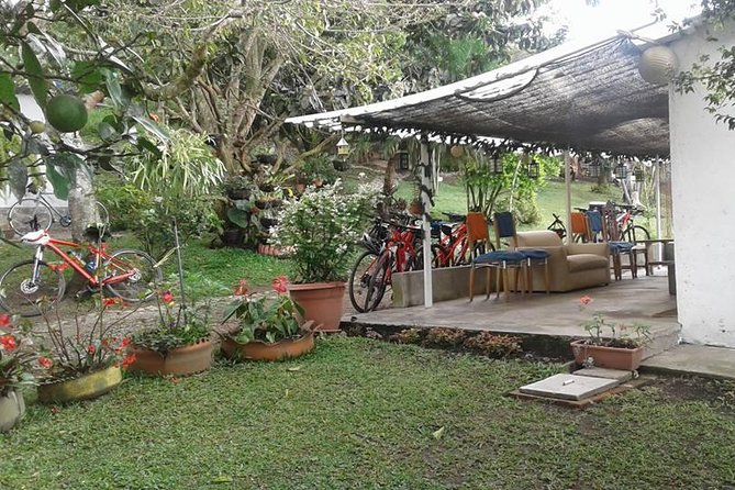Cultural Coffee bike tour - Price and value: is $120 fair for a 4-hour private tour?