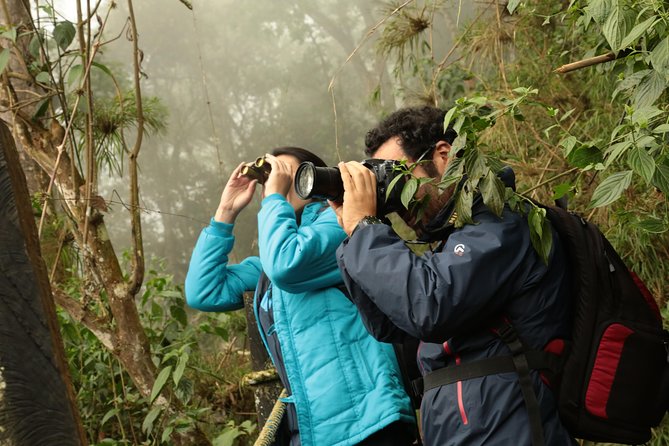 Day Trip to Chicaque National Park-from Bogota - Key highlights worth getting excited about