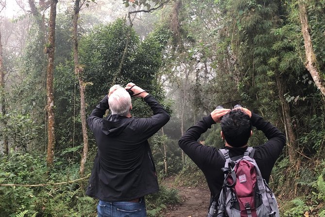 Day Trip to Chicaque National Park-from Bogota - 7:00 am Pickup and the Countryside Ride to Chicaque