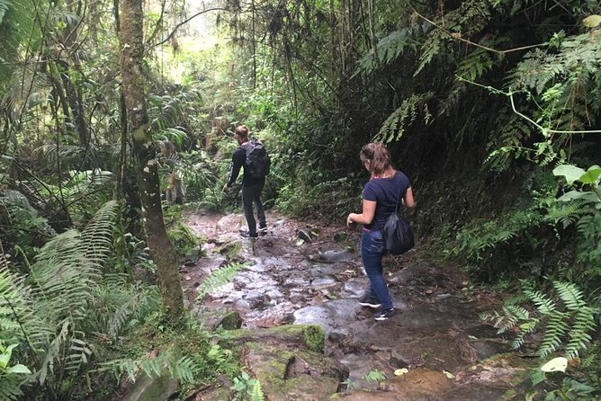 Day Trip to Chicaque National Park-from Bogota - Practical Tips to Make Your Day Better