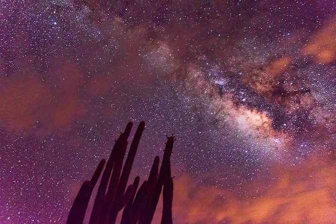 Desierto de la Tatacoa: paisajes y observación de estrellas. - Key highlights you should not miss